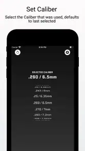 Ballistic X screenshot