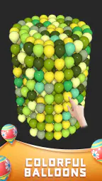 Balloon Master 3D-Puzzle Games 5