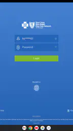 BCBSM 6