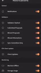Beaconchain Dashboard 5