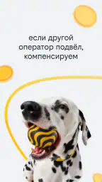 Beeline 1