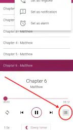 Bible NIV - Audio Bible App 5