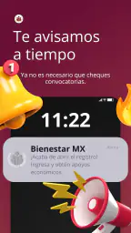 Bienestar MX | Apoyos Info 2