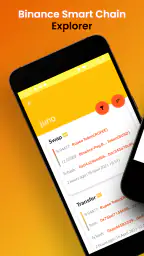 Binance Smart Chain Explorer 1