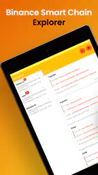 Binance Smart Chain Explorer 6