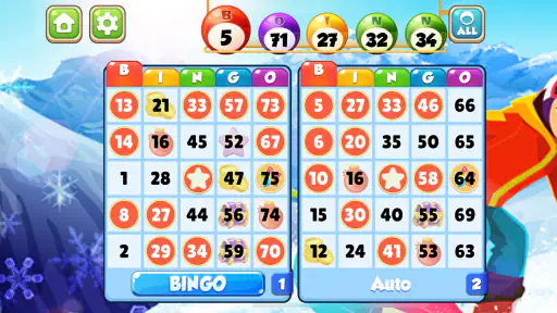 Bingo bay : Family bingo 7