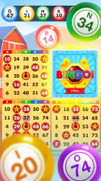 Bingo Country Boys: Tournament 2
