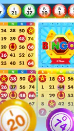 Bingo Country Boys: Tournament 7
