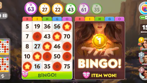 Bingo Diary 4