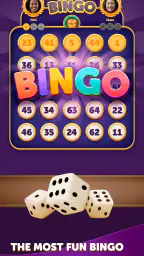 Bingo Dice 1