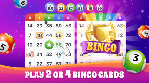 Bingo Lotto: Win Lucky Number 1