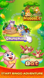 Bingo Wild-Classic Bingo Games 4