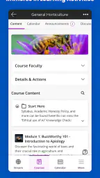 Blackboard 3