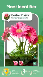Blossom - Plant Identifier 1