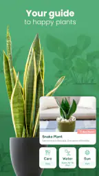 Blossom - Plant Identifier 2