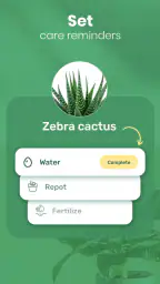 Blossom - Plant Identifier 6