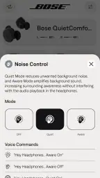 Bose QC Earbuds 6
