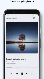 BubbleUPnP UPnP/DLNA License 4
