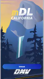 CA DMV Wallet 1