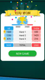 Canasta Card Game 4
