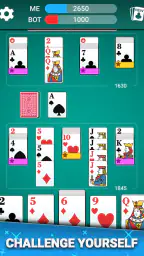 Canasta Card Game 8