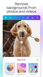 Canva: AI Photo & Video Editor 5