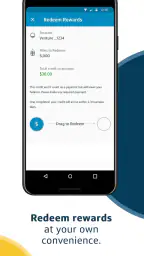 Capital One Mobile 7