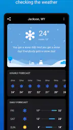 CARROT Weather 4