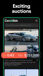 Cars & Bids 7