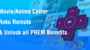 Castly -Roku, Chromecast,DLNA screenshot