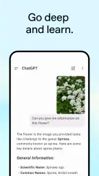 ChatGPT 4