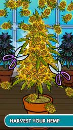 Cheech and Chong Bud Farm 6