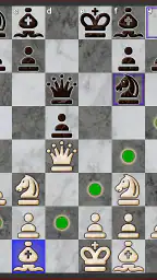 Chess Pro 4