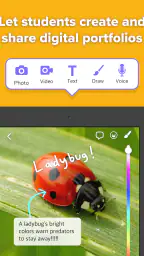 ClassDojo 8