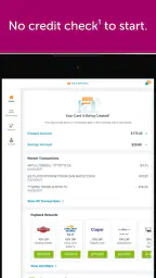 Classic Netspend 6