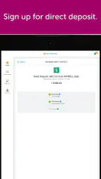 Classic Netspend 8
