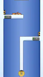 Coin Collector 1