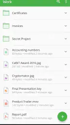 Cryptomator 5