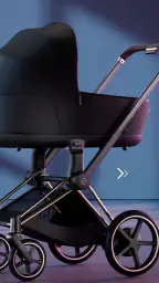 CYBEX 2
