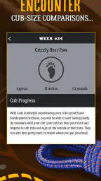 Dad Pregnancy Guide: Daddy Up 4