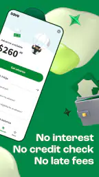 Dave - Fast Cash & Banking 2
