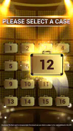 Case of Fortune 2