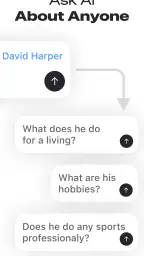 Deepsearch AI Search Assistant 2
