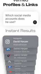 Deepsearch AI Search Assistant 3
