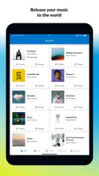 DistroKid 6