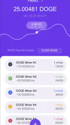 DOGE Miner by NVS 1