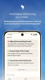 Dollarwise: Budget & Tracking 4