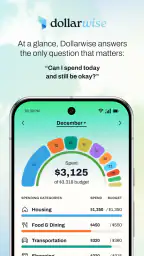 Dollarwise: Budget & Tracking 5