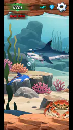 Dolphin Love Story 3