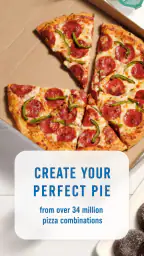 Domino's Pizza USA 1